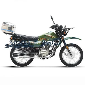 Мотоцикл Regulmoto SK200-22 с ПТС (Зеленый, , 108596-3)
